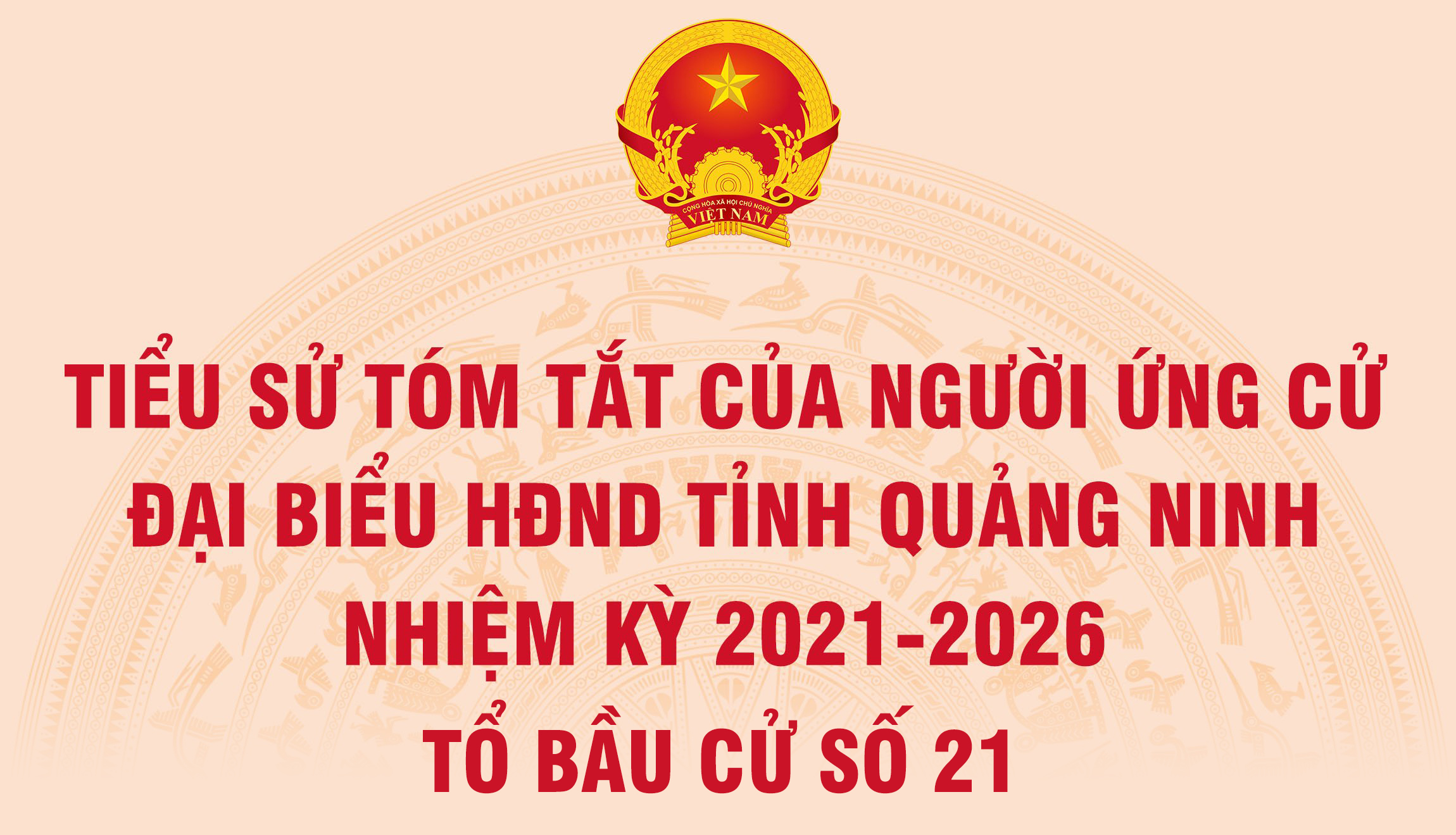 Tiểu sử tóm tắt của người ứng cử đại biểu HĐND tỉnh Quảng Ninh nhiệm kỳ 2021 - 2026 (Tổ bầu cử số 21)