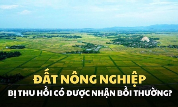 Đất nông nghiệp bị Nhà nước thu hồi, tiền bồi thường ra sao? - Báo ...