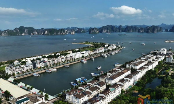 baoquangninh.vn