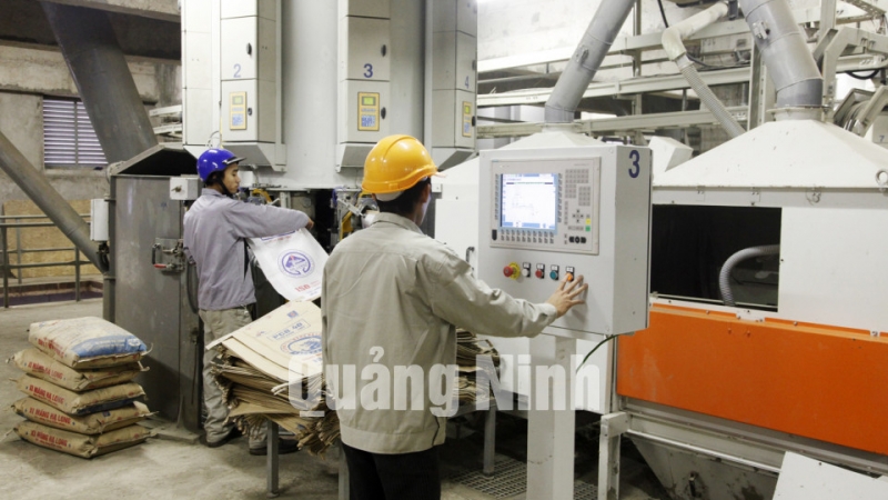 Sản xuất tại nhà máy xi măng Thăng Long (1-2010). Ảnh: Khánh Giang