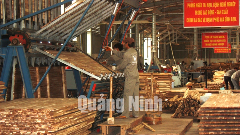 Chế biến sản xuất gỗ tại Công ty TNHH Thanh Lâm.