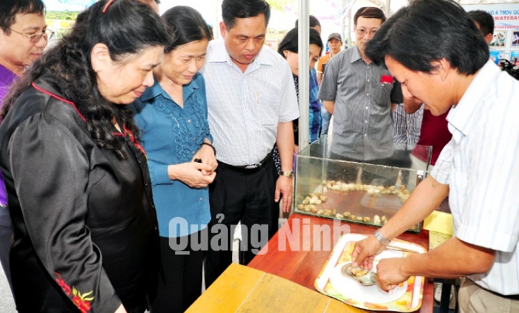 Đồng chí Tòng Thị Phóng, Uỷ viên Bộ Chính trị, Phó Chủ tịch Quốc hội tham quan các gian hàng tại Hội chợ OCOP Quảng Ninh 2015.