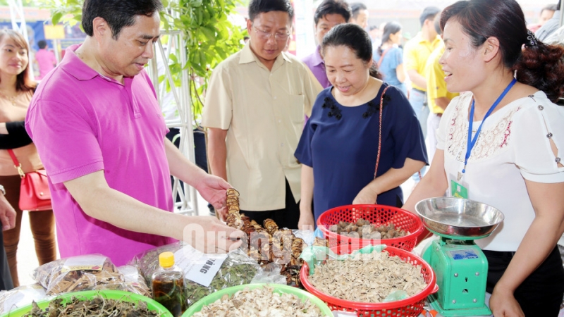 Đồng chí Phạm Minh Chính, Ủy viên Bộ Chính trị, Bí thư Trung ương Đảng, Trưởng Ban Tổ chức Trung ương thăm Hội chợ OCOP Quảng Ninh hè 2016. Ảnh Đỗ Phương