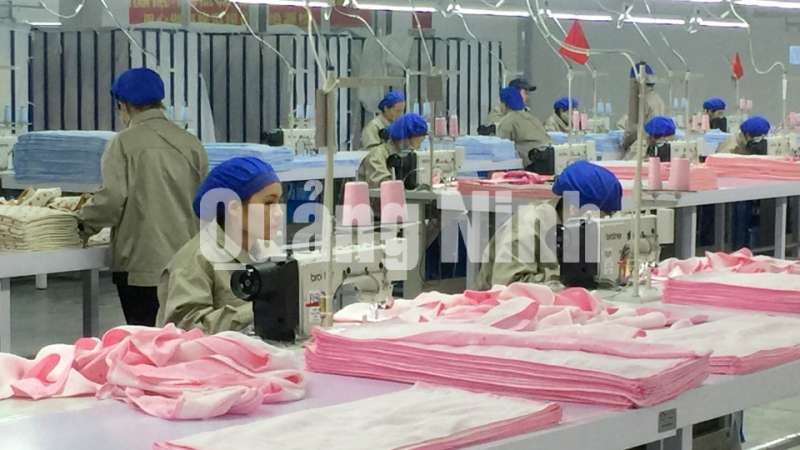 Sản xuất khăn tắm, khăn mặt cao cấp tại Công ty TNHH Đại Đông Việt Nam (KCN Texhong Hải Hà) (1-2018). Ảnh: Hữu Việt