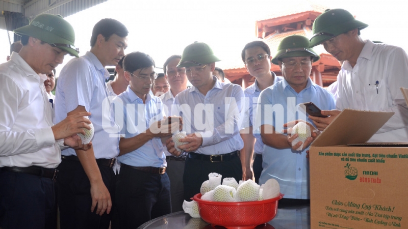 Các đại biểu tỉnh Hà Tĩnh tìm hiểu sản phẩm được dán nhãn chứng nhận nguồn gốc hàng hoá của người dân xã Việt Dân (9-2019). Ảnh: Nguyễn Thanh