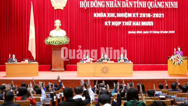 Các đại biểu biểu quyết thông qua các Nghị quyết (11-2020). Ảnh: Thu Chung