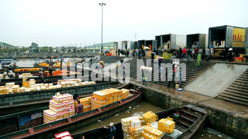 Xuất khẩu hàng thủy sản tại Cảng ICD Thành Đạt (8-2019). Ảnh: Hữu Việt
