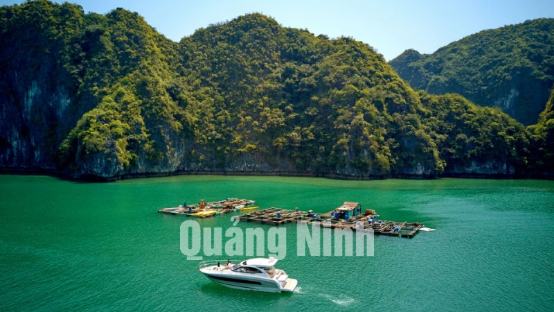 Du thuyền thăm vịnh Hạ Long (12-2019). Ảnh: Hùng Sơn