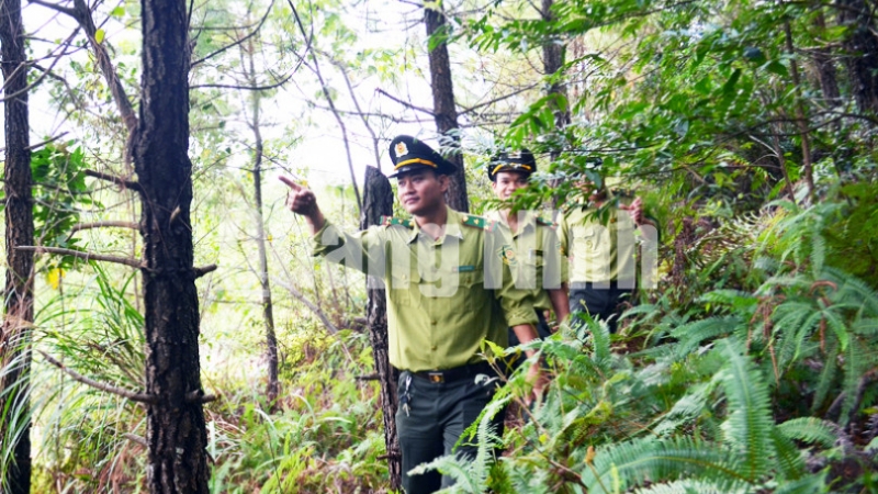 Lực lượng kiểm lâm TP Móng Cái tuần tra, bảo vệ rừng. Ảnh: Việt Hoa