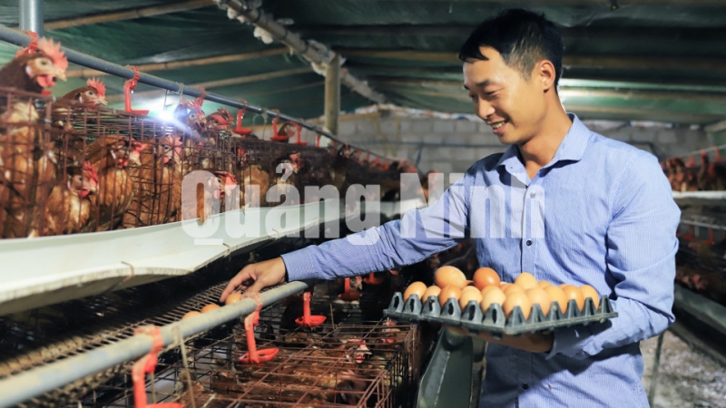 Mô hình nuôi gà đẻ trứng của gia đình anh La Ngọc Trung, thôn Bản Pạt, xã Lục Hồn (12-2019). Ảnh: Minh Đức