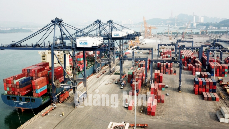 Cảng Cái Lân được đầu tư thiết bị hiện đại, đồng bộ với 4 cẩu bờ STS loại Panamax tầm với 17 hàng container (3-2019). Ảnh: Đỗ Phương