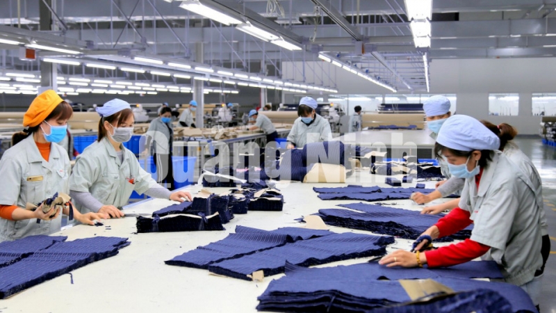 Sản xuất kinh doanh hàng may mặc tại Công ty TNHH May mặc Hoa Lợi Đạt Việt Nam (3-2019). Ảnh: Minh Đức