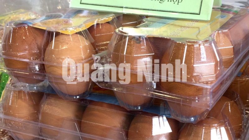 Trứng gà Tân An (TX Quảng Yên). Ảnh: Cao Quỳnh
