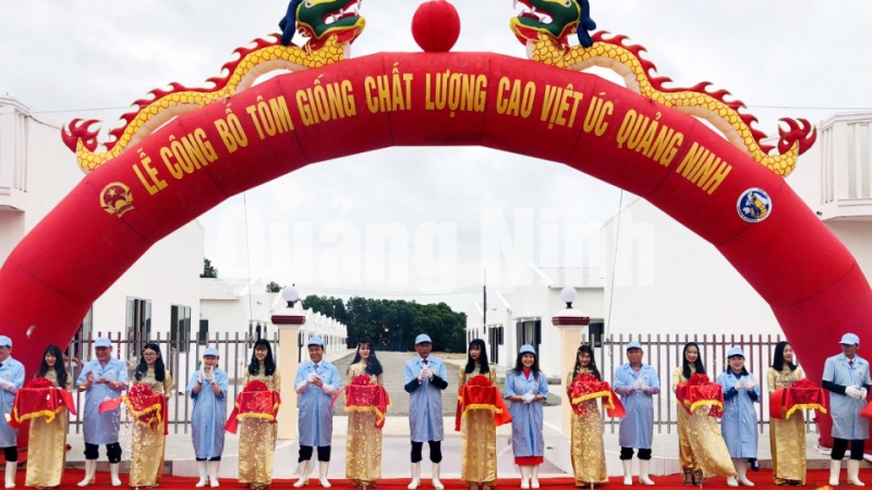 Các đại biểu cắt băng khánh thành Dự án Khu phức hợp sản xuất tôm chất lượng cao tại huyện Đầm Hà (4-2019). Ảnh: Nguyễn Soái