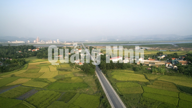 Tuyến đường tránh phía bắc Hạ Long (12-2019). Ảnh: Khánh Giang
