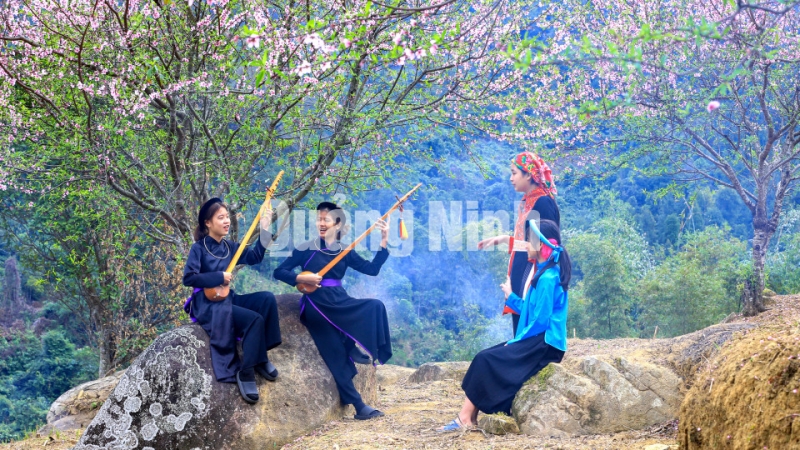 Thiếu nữ dân tộc Tày (huyện Bình Liêu) chơi đàn tính, hát then bên vườn đào (3-2021). Ảnh: Dương Phương Đại