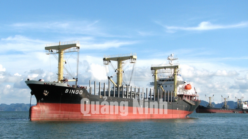 Tàu chở gỗ 8.700 tấn xuất khẩu cho Nhật Bản năm 2007.