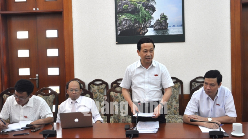 ĐB Nguyễn Văn Thành, Phó Chủ tịch UBND tỉnh phát biểu thảo luận tại tổ