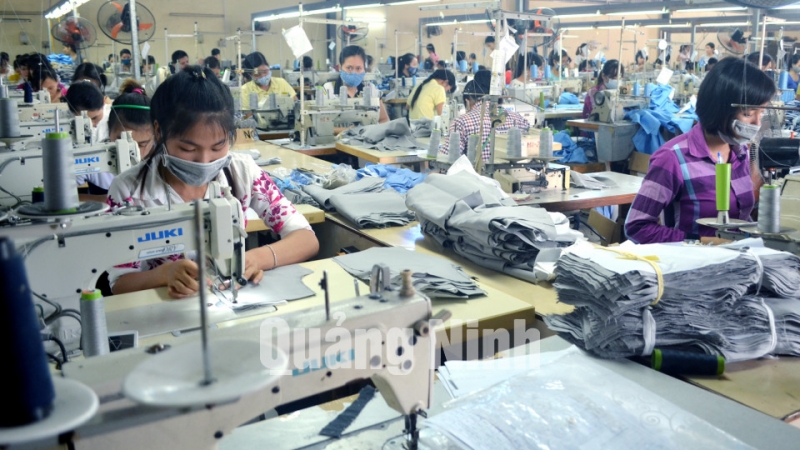 Một ca sản xuất của nữ công nhân Phân xưởng may tại Công ty CP May Quảng Ninh (11-2015). Ảnh: Nguyễn Hoa