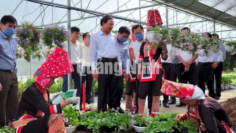 Bí thư Tỉnh ủy Nguyễn Xuân Ký đến thăm mô hình nông nghiệp ứng dụng công nghệ cao của HTX Hoa Bình Liêu (thôn Cao Sơn, xã Hoành Mô) (9-2020). Ảnh: Minh Hà