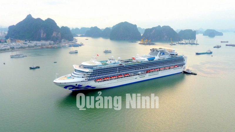 Tàu Diamond Princess đưa hơn 2.500 du khách tới Hạ Long (1-2020). Ảnh: Minh Hà