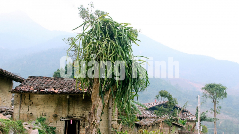 Cảnh nhà (huyện Bình Liêu). Ảnh: Khánh Giang