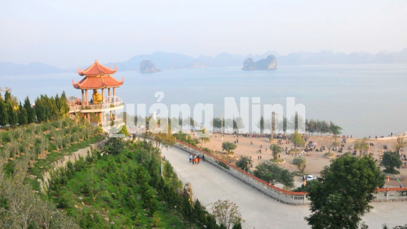 Không gian xanh tại chùa Cái Bầu - Thiền viện Trúc Lâm Giác Tâm  (1-2017). Ảnh: Phan Hằng