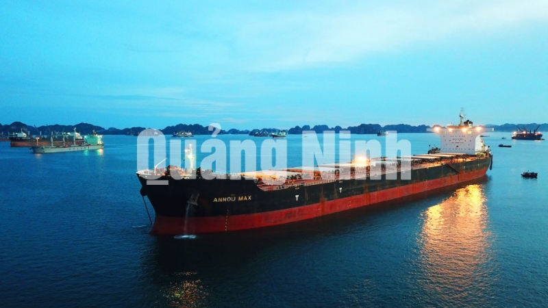 Tàu ANNOU MAX trọng tải 176.364 tấn vào làm hàng tại khu vực cảng Hòn Nét (6-2019). Ảnh: Đỗ Phương