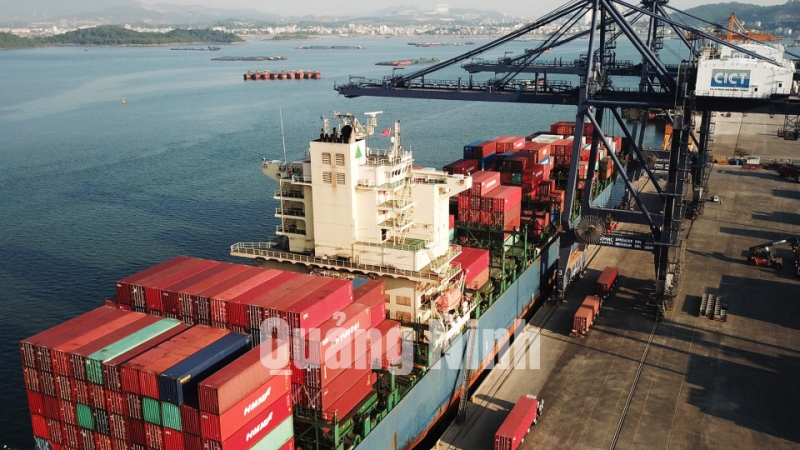 Bốc xếp hàng hóa tại Cảng container quốc tế Cái Lân (CICT) (7-2020). Ảnh: Đỗ Phương