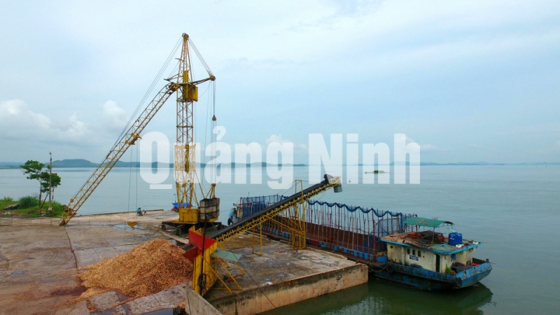 Bốc xếp hàng hóa tại cảng Mũi Chùa, huyện Tiên Yên (5-2020). Ảnh: Khánh Giang