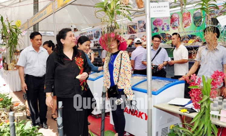 Đồng chí Tòng Thị Phóng, Uỷ viên Bộ Chính trị, Phó Chủ tịch Quốc hội tham quan các gian hàng tại Hội chợ OCOP Quảng Ninh 2015.