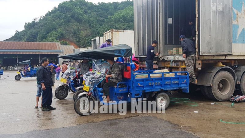 Bốc xếp hàng hóa xuất khẩu tại Cửa khẩu Bắc Phong Sinh (4-2019). Ảnh: Thái Cảnh