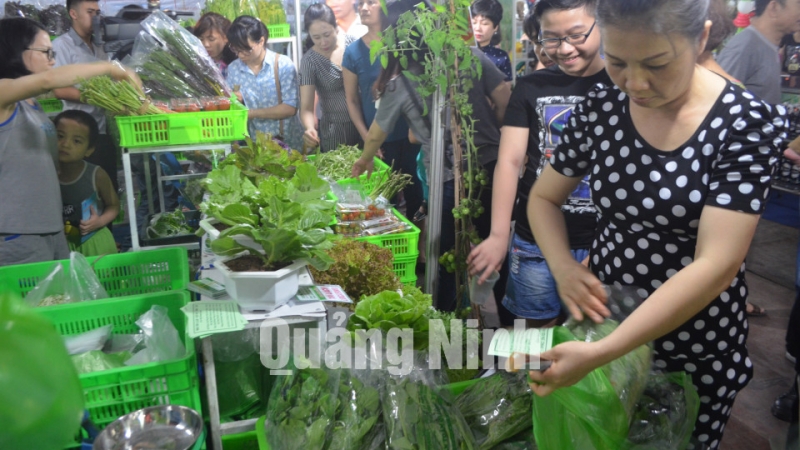 Sản phẩm rau sạch của Công ty CP Đầu tư Song Hành Quảng Ninh được bày bán tại hội chợ OCOP Quảng Ninh. Ảnh: Cao Quỳnh
