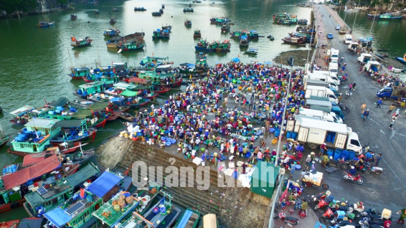 Sau khi được sắp xếp, quy hoạch, Bến cá Hạ Long đã khang trang, rộng rãi và trở thành một trong những sản phẩm du lịch của Quảng Ninh. Ảnh: Hùng Sơn