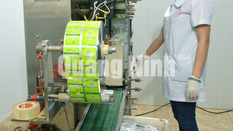 Dây chuyền sản xuất sản phẩm trà túi lọc hoàn toàn tự động (3-2018). Ảnh: Lương Giang