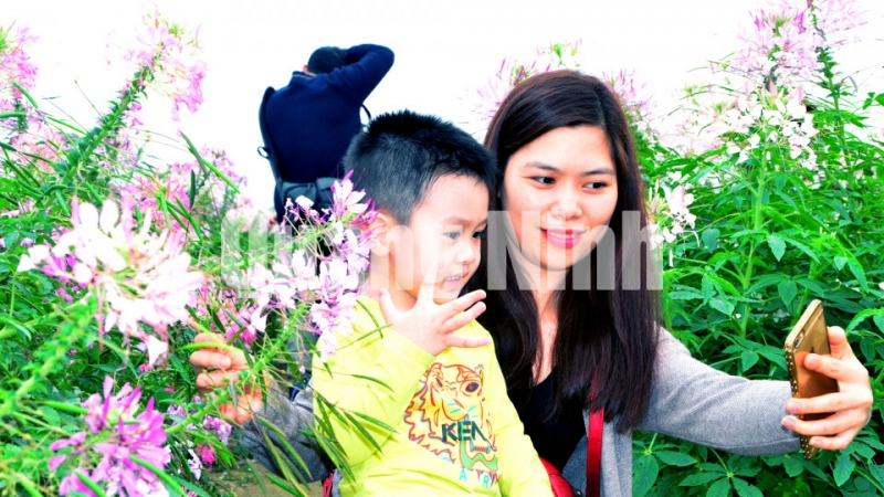 Mẹ và bé cùng chụp ảnh lưu niệm giữa thung lũng hoa. Ảnh: Hà Phong