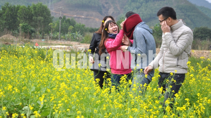 Các bạn trẻ thích thú chụp ảnh bên những luống hoa cải tại Thiên đường hoa Quảng La. Ảnh: Cẩm Thu