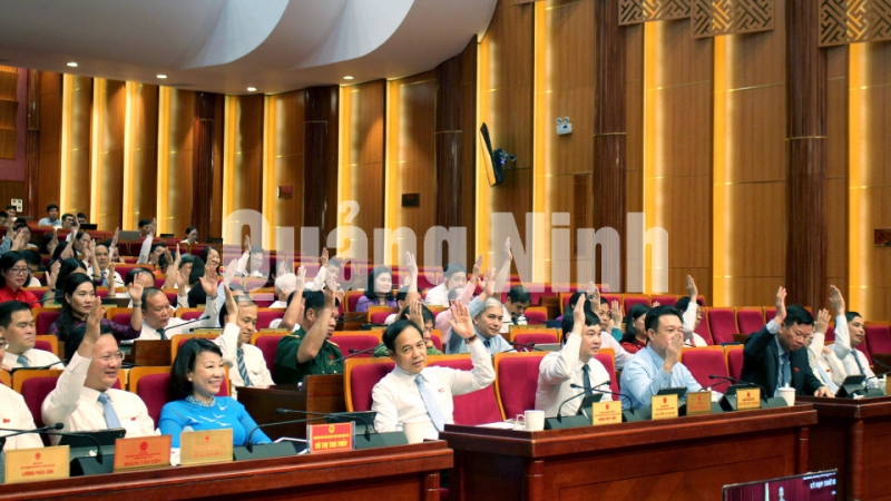 Các đại biểu biểu quyết thông qua các Nghị quyết (5-2020). Ảnh: Thu Chung
