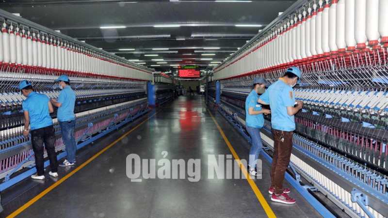 Sản xuất sợi tại Phân xưởng số 1, Công ty TNHH Khoa học kỹ thuật Texhong Ngân Long. Ảnh: Thái Cảnh