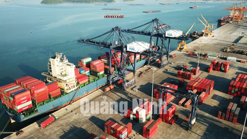 Bốc xếp hàng hóa tại Cảng container quốc tế Cái Lân (CICT) (4-2020). Ảnh: Minh Đức