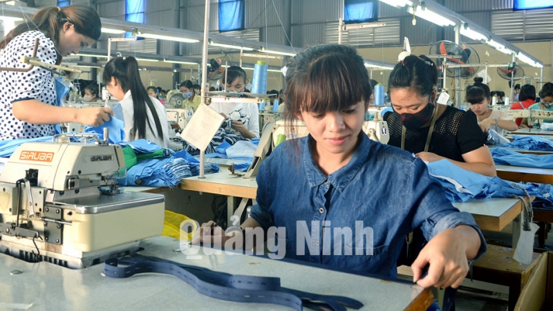 Một ca sản xuất của nữ công nhân Phân xưởng may (Công ty CP May Quảng Ninh) (11-2015). Ảnh: Nguyễn Hoa