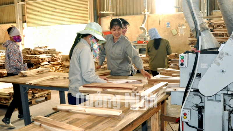 Chế biến gỗ ghép thanh tại Công ty TNHH Thanh Lâm, huyện Đầm Hà (2-2018). Ảnh: Hữu Việt