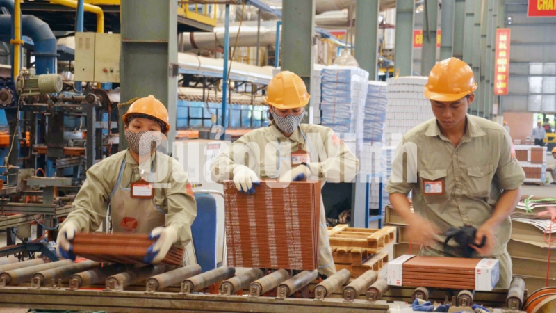 Công nhân Công ty CP Gốm Đất Việt đóng gói sản phẩm gạch (12-2013). Ảnh: Thu Nguyên