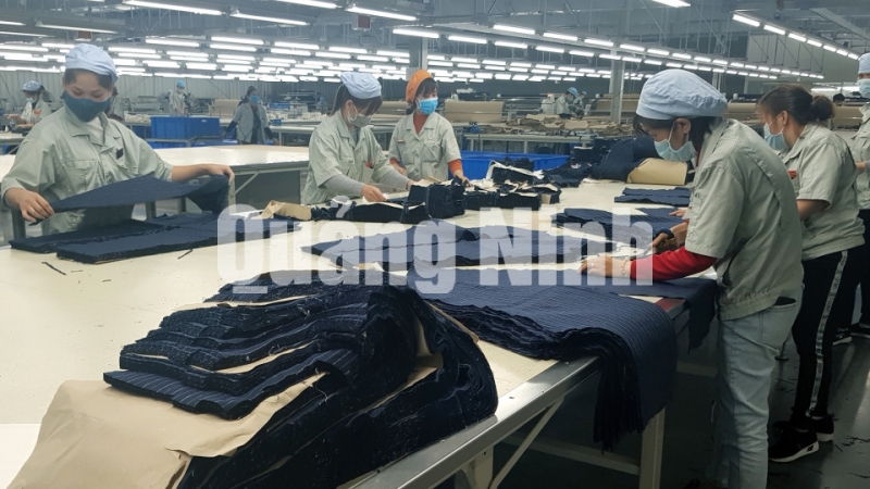 Sản xuất tại Công ty TNHH May mặc Hoa Lợi Đạt Việt Nam (2-2019). Ảnh: Thái Cảnh