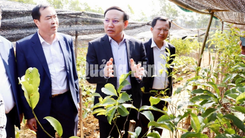 Bí thư Tỉnh ủy Nguyễn Xuân Ký thăm, kiểm tra vườn ươm giống cây lâm nghiệm của huyện Ba Chẽ (2-2021). Ảnh: Trúc Linh