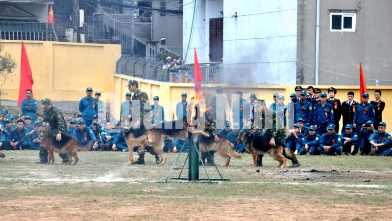 Lực lượng Bộ đội Biên phòng tỉnh biểu diễn huấn luyện cảnh khuyển tại lễ ra ra quân huấn luyện của Bộ CHQS tỉnh – BĐBP tỉnh năm 2018 (1-3-2018). Ảnh: Lưu Linh