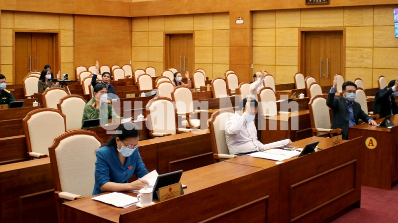Các đại biểu biểu quyết tại điểm cầu hội trường chính (3-2020). Ảnh: Thu Chung