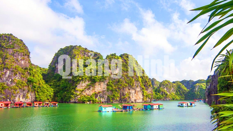 Một góc Vung Viêng ngát màu xanh của cây cỏ, dáng núi hòa với nước biển.