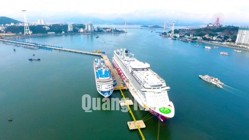 Tàu Diamond Princess đưa hơn 2.500 du khách tới Hạ Long (1-2020). Ảnh: Minh Hà