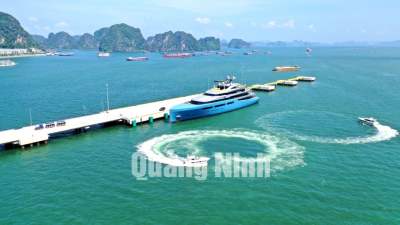 Siêu du thuyền Aviva cập bến Cảng tàu khách quốc tế Hạ Long (5-2019). Ảnh: Hùng Sơn